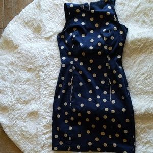 Anne Klein Navy Brown polka dot shift dress